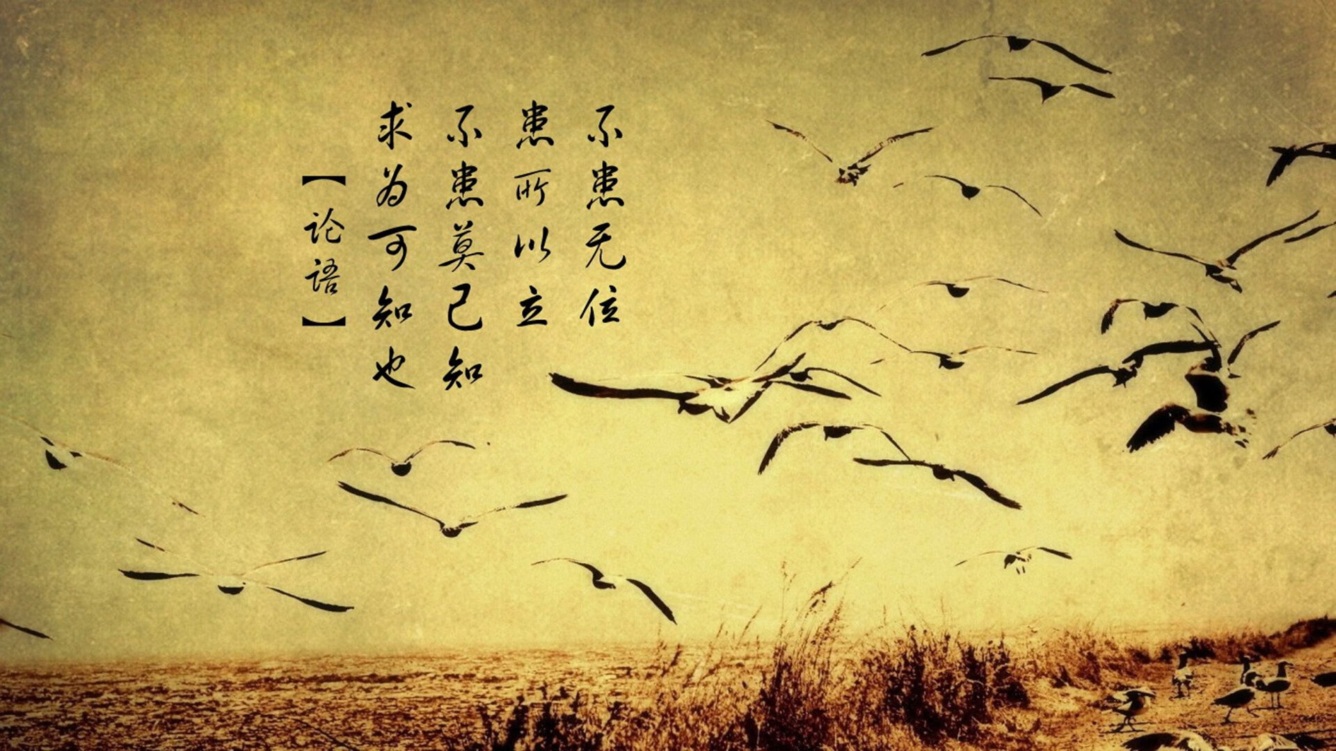 开云体育官网-勇士收割雄鹿，文班亚马，以柔克刚的艺术，与未来巨兽的无声宣告