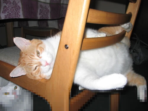 从欧冠半决赛的窒息攻防，看达米安·利拉德如何定义篮球场的攻防转换核心