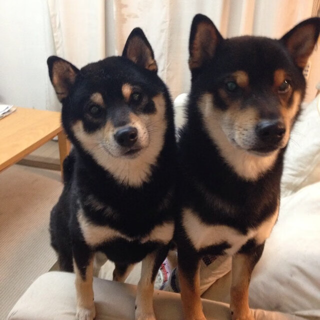 开云体育登录-终场哨响前的闪电！基耶萨一剑封喉，揭开尤文图斯老妇人战术新篇章